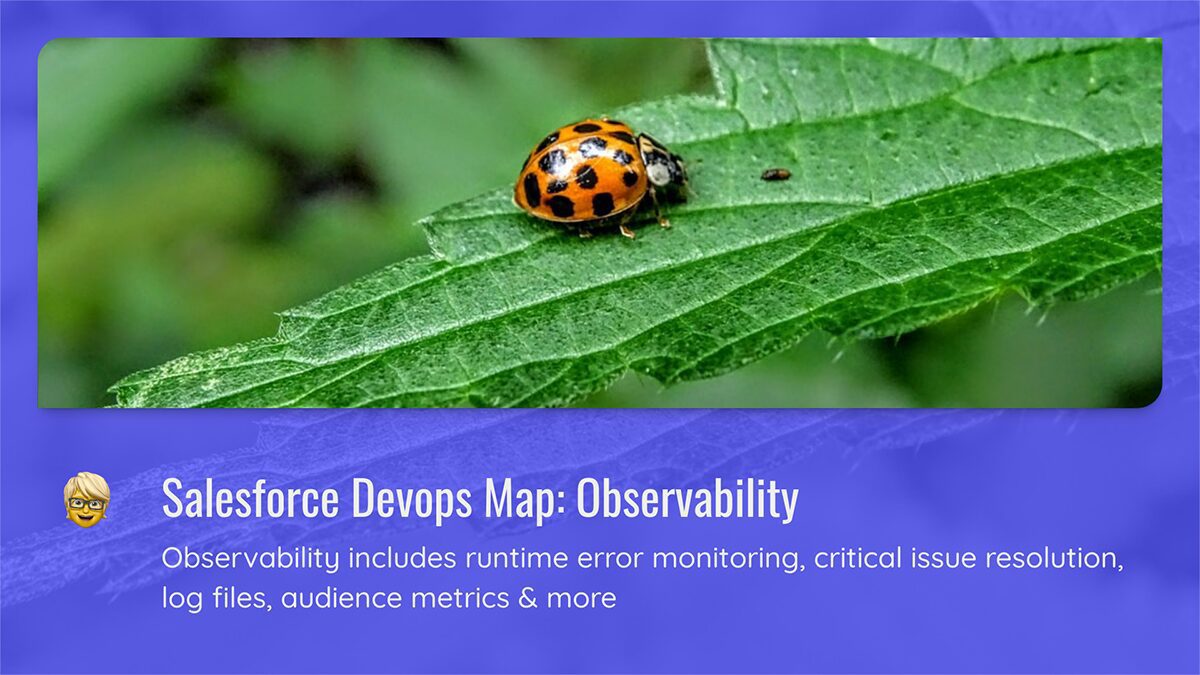 Salesforce Devops Map Observability