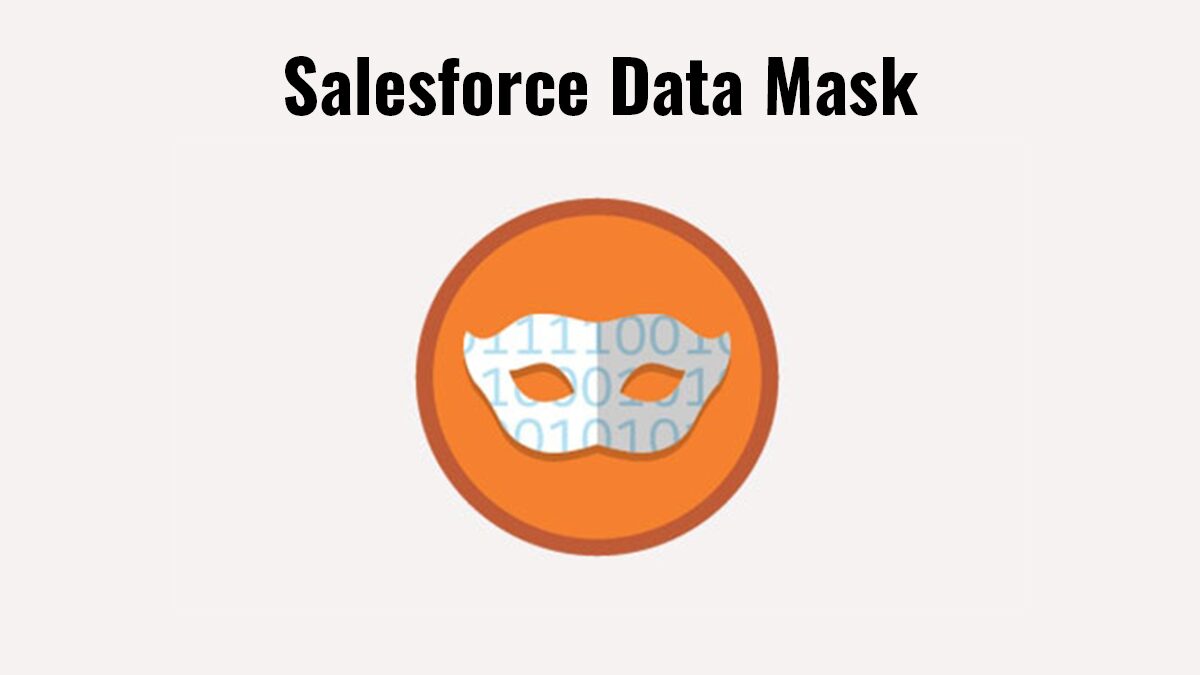 Salesforce Data Mask Logo