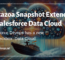 Metazoa Snapshot Extends To Salesforce Data Cloud